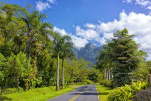 Viagem de carro: 15 roteiros completos em estradas cênicas pelo Brasil