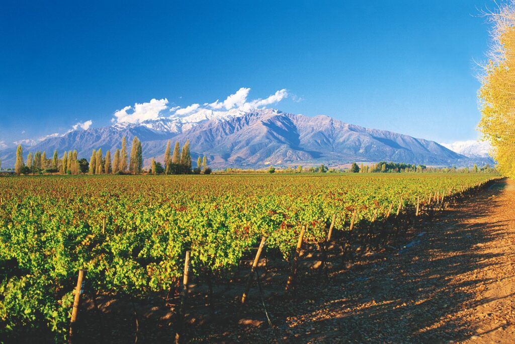 vinícola Concha y toro passeios em Santiago