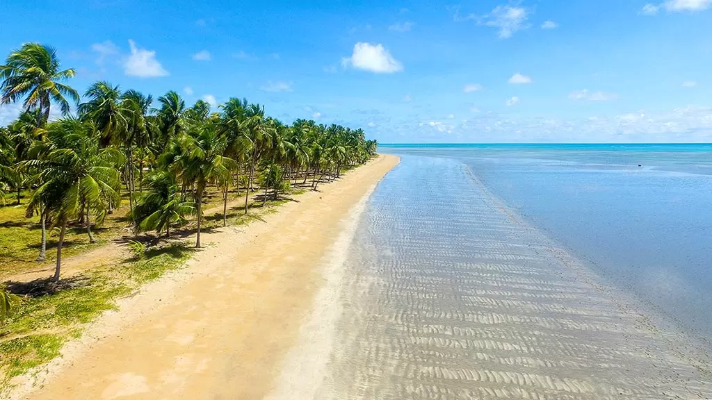 Melhores praias de Alagoas